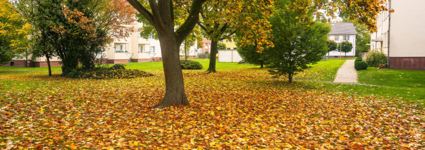 Association Management Tips for Fall